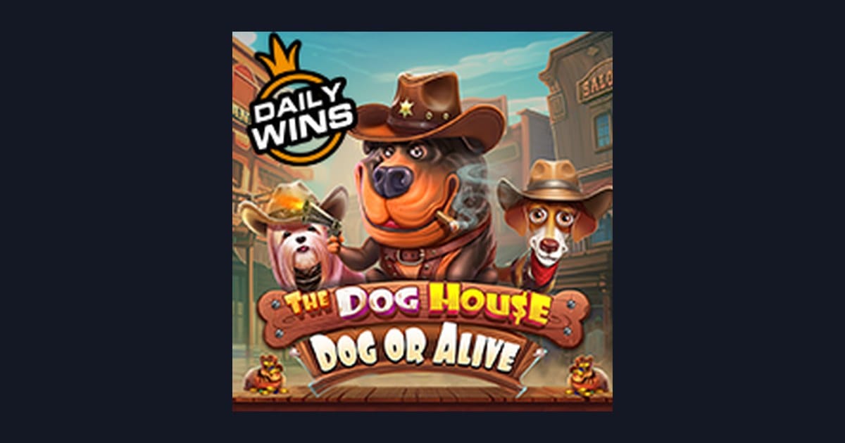 Mengenal Pola Spin Gacor di Slot The Dog House Dog Or Alive