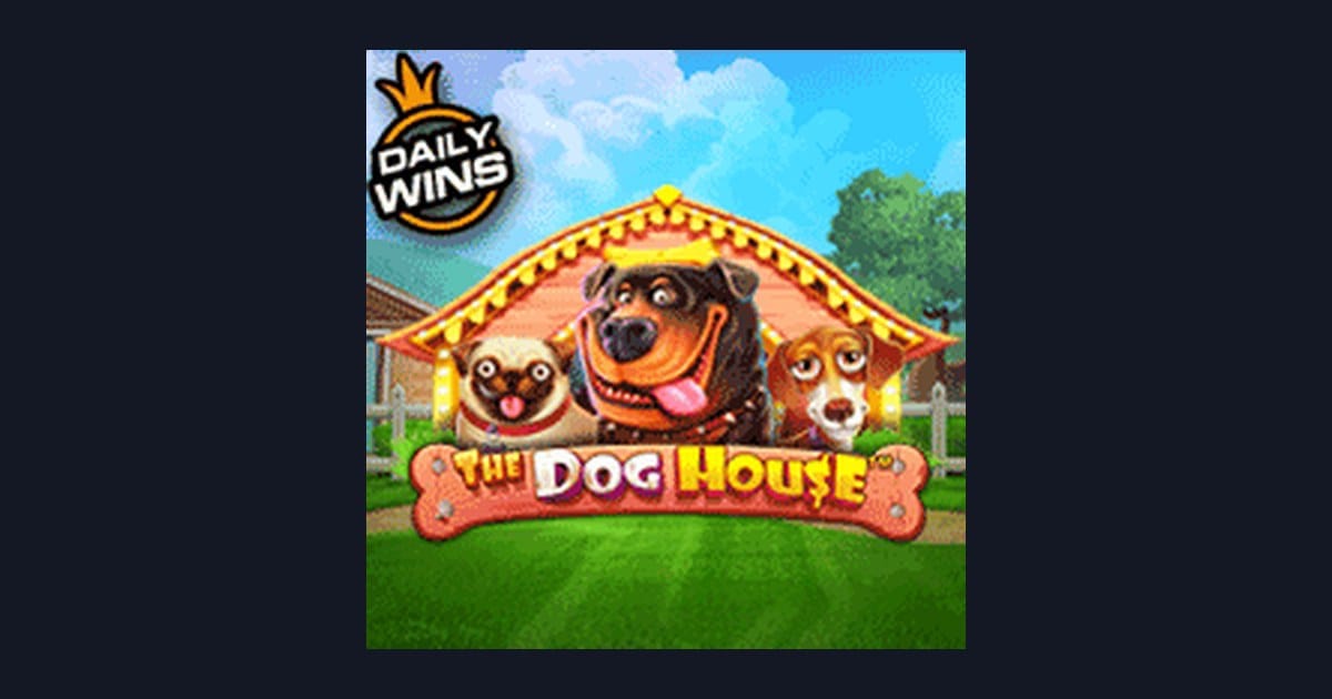 Tips Menang Buat Pemula di Slot The Dog House yang Seru dan Menguntungkan